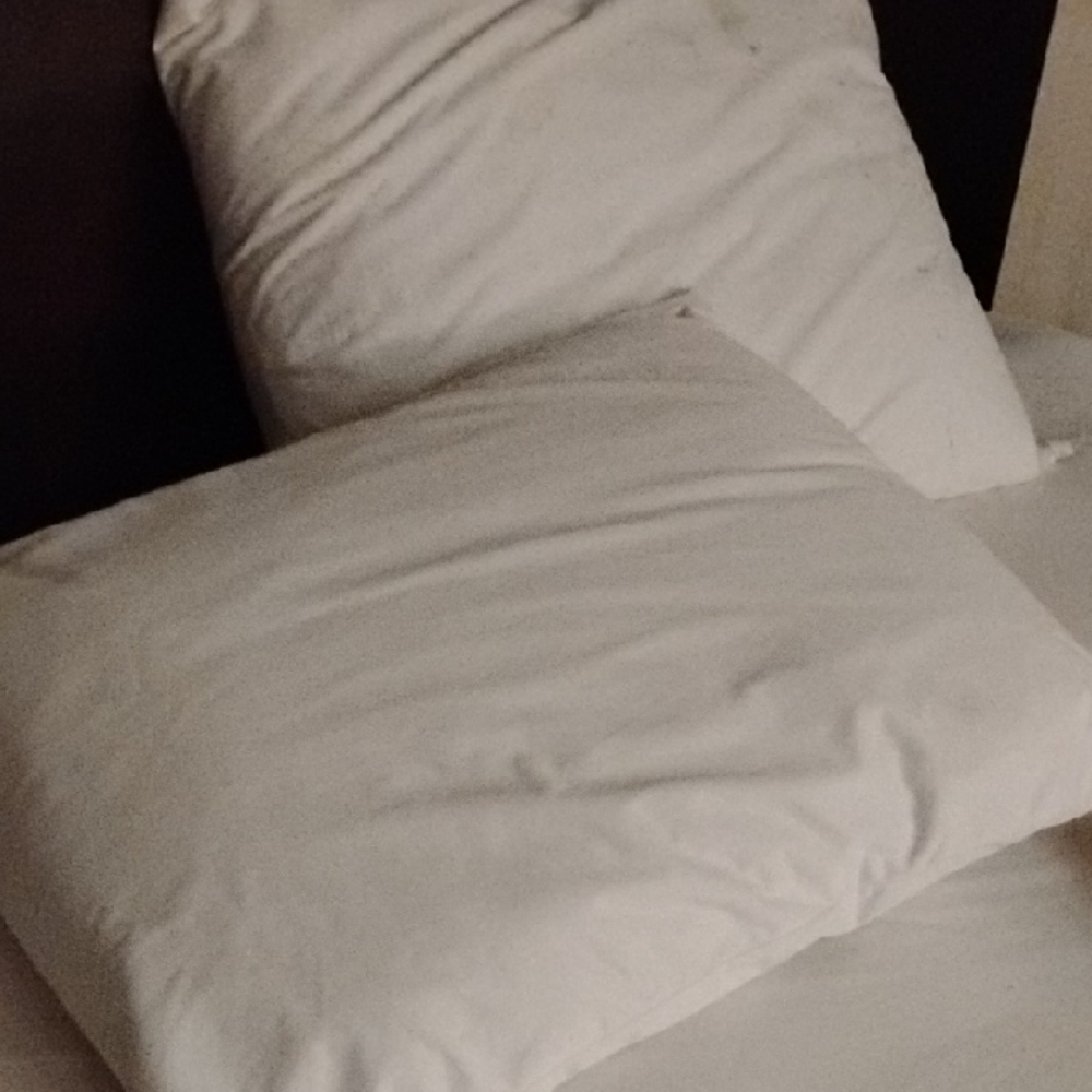 Crisp White Cotton Pillow